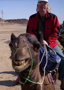 Craig en zijn lachende kameel