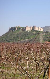 De citadel boven de wijnranken
