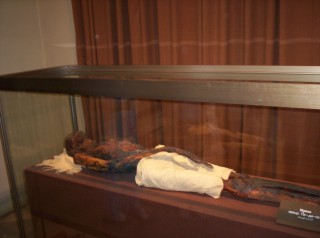 Een mummie uit de Egypte collectie
